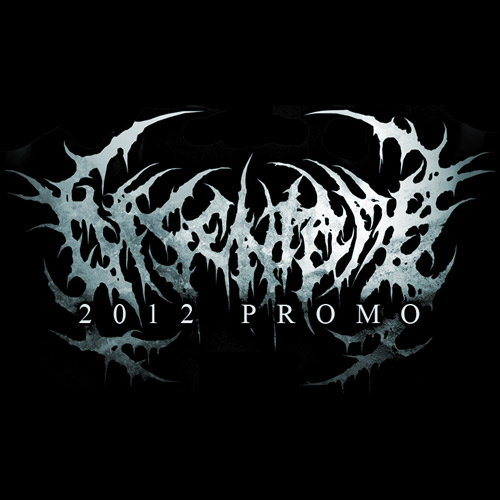 DISENTOMB - Promo 2012 cover 