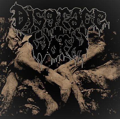 DISGRACE WORM - Disgrace Worm cover 