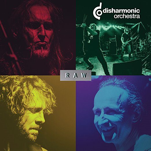 DISHARMONIC ORCHESTRA - Raw cover 