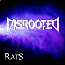 DISROOTED - Rats cover 