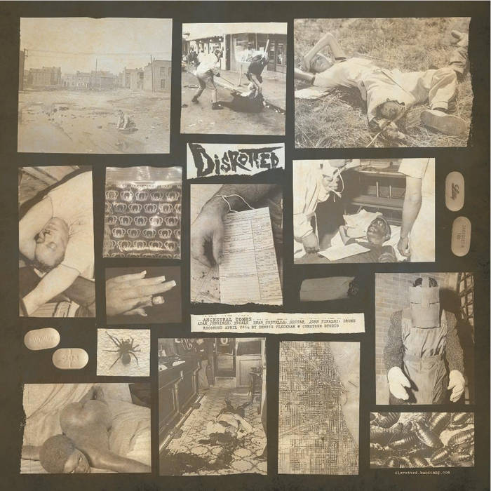 DISROTTED - Disrotted / Bogrot cover 