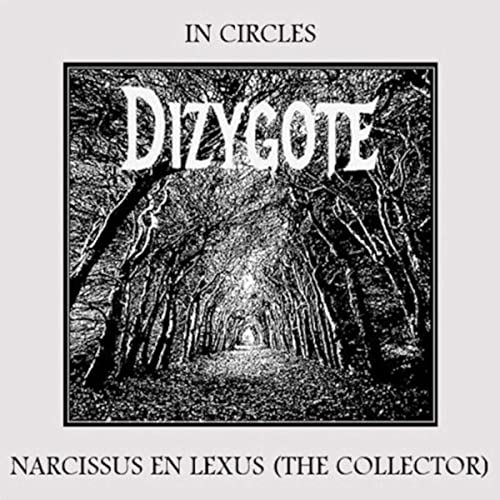 DIZYGOTE - In Circles cover 