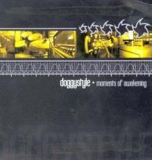 DOGGYSTYLE - Moments Of Awakening cover 
