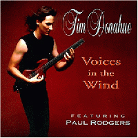 TIM DONAHUE - Voices in the Wind cover 