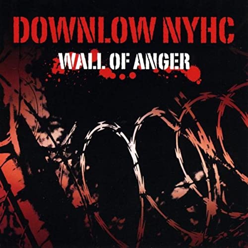 DOWN LOW - Wall Of Anger cover 