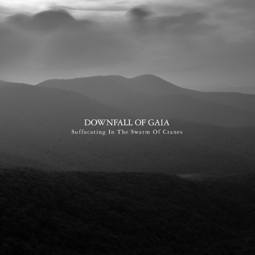 DOWNFALL OF GAIA - Suffocating In The Swarm Of Cranes cover 