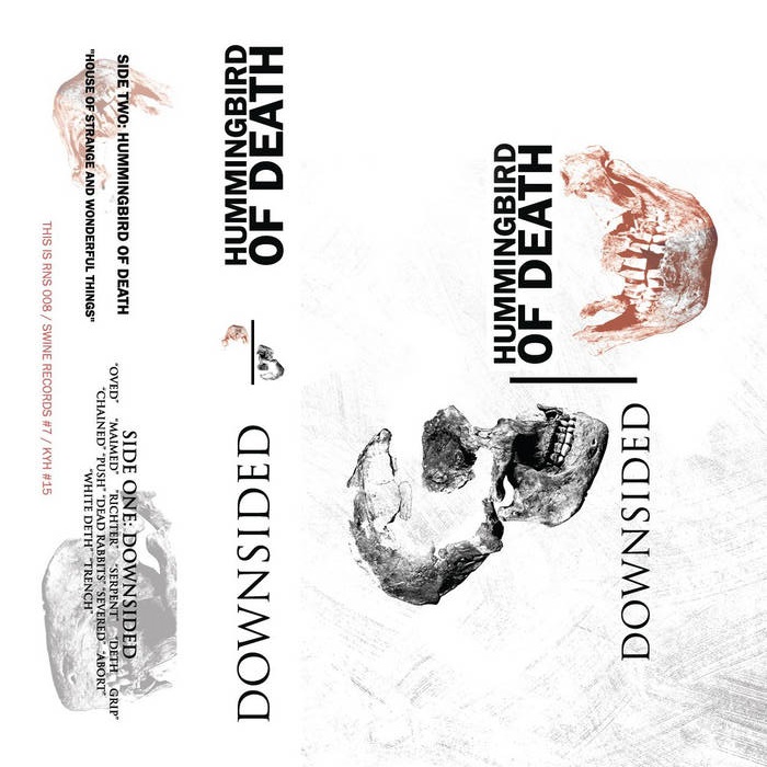 DOWNSIDED - Downsided / Hummingbird Of Death cover 