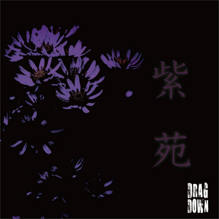 DRAGDOWN - 紫苑 cover 