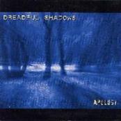 DREADFUL SHADOWS - Apology cover 