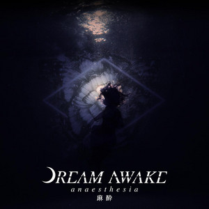 DREAM AWAKE - Anaesthesia cover 