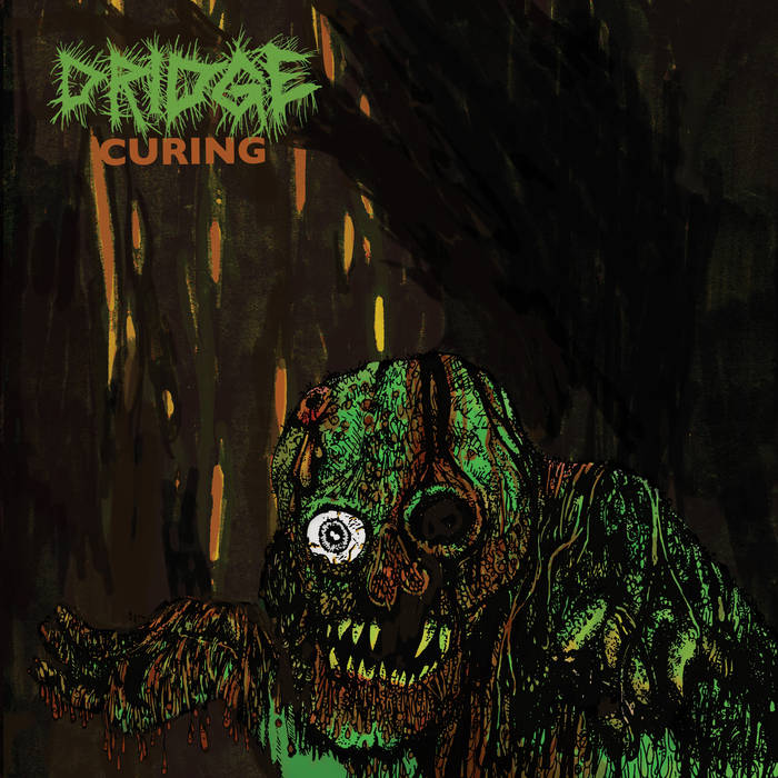 DRIDGE - Curing cover 