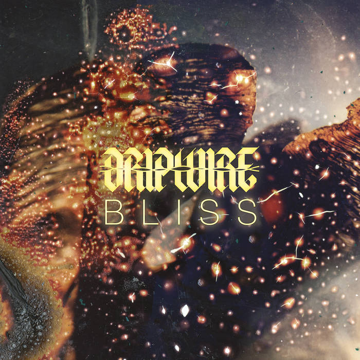 DRIPWIRE - Bliss cover 