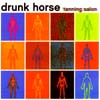 DRUNK HORSE - Tanning Salon cover 