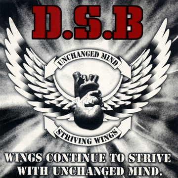 D.S.B. - Wings Continue To Strive With Unchanged Mind cover 
