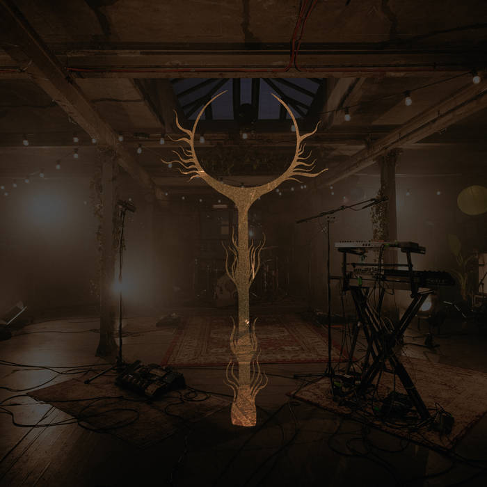 DVNE - Live At The Biscuit Factory cover 