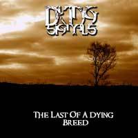 DYING SIGNALS - The Last Of A Dying Breed cover 