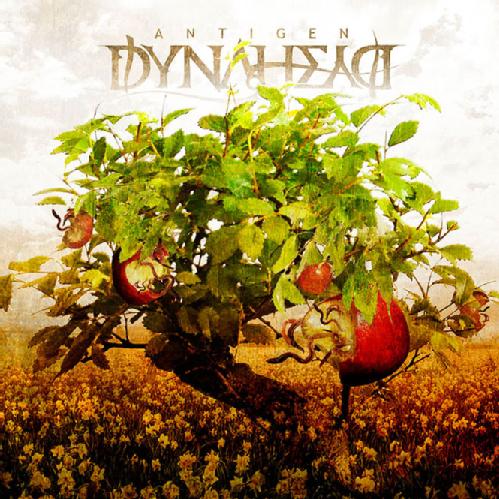 DYNAHEAD - Antigen cover 