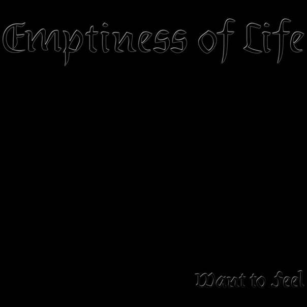 EMPTINESS OF LIFE - Want to Feel cover 