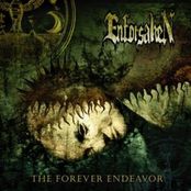 ENFORSAKEN - The Forever Endeavor cover 