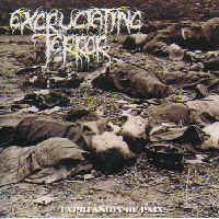 EXCRUCIATING TERROR - Expression of Pain cover 
