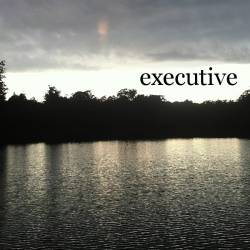 EXECUTIVE - Melodicore cover 