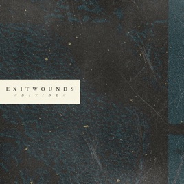 EXITWOUNDS - Divide cover 