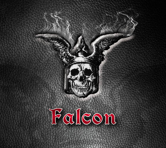 FALCON - Falcon cover 