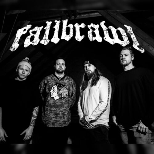 FALLBRAWL - Darkness cover 