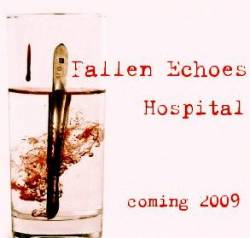 FALLEN ECHOES - Hospital cover 