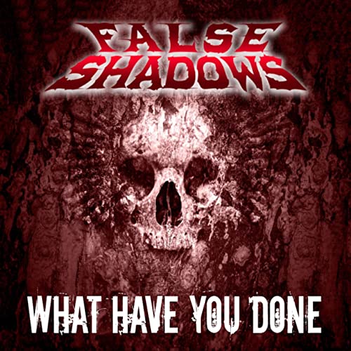 FALSE SHADOWS - What Have You Done cover 