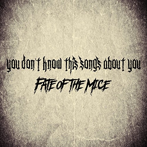 FATE OF THE MICE - You Don't Know This Song's About You cover 