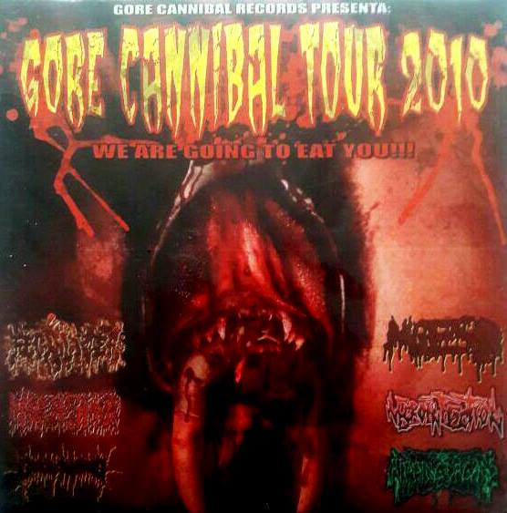 FECALIZER - Gore Cannibal Tour 2010 cover 