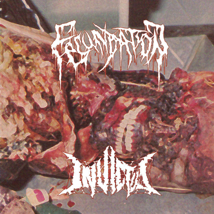 FECUNDATION - Fecundation / Invictus cover 
