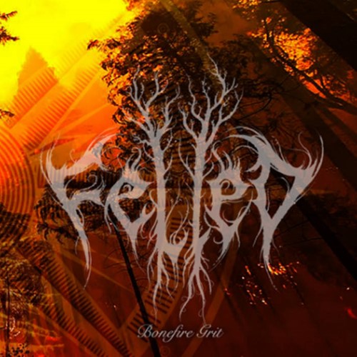 FELLED - Bonefire Grit cover 