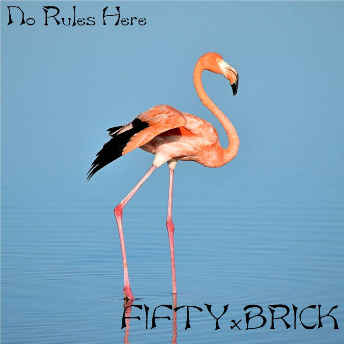 FIFTYXBRICK - No Rules Here cover 