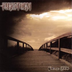 FIRESTORM - Promo 2006 cover 