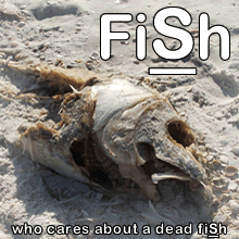 FISH - Who Cares About a Dead Fish cover 