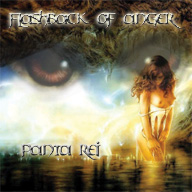 FLASHBACK OF ANGER - Panta Rei cover 