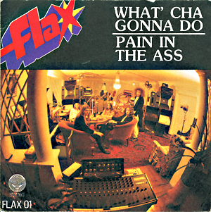 FLAX - What'cha Gonna Do / Pain In The Ass cover 