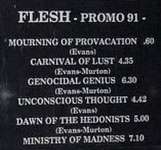 FLESH - Promo 91 cover 