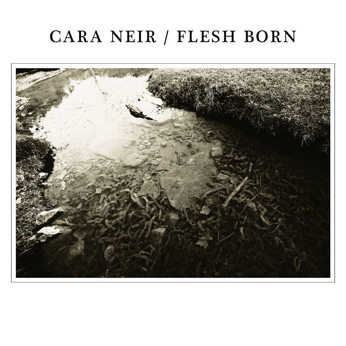 FLESH BORN - Cara Neir / Flesh Born cover 