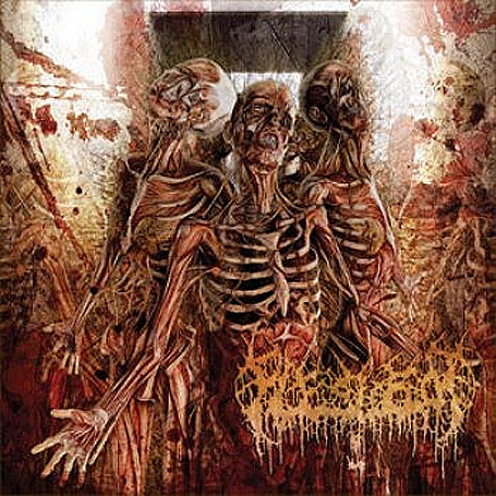 FLESHROT - Traumatic Reconfiguration cover 