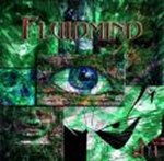FLUID MIND - Demo 1 cover 