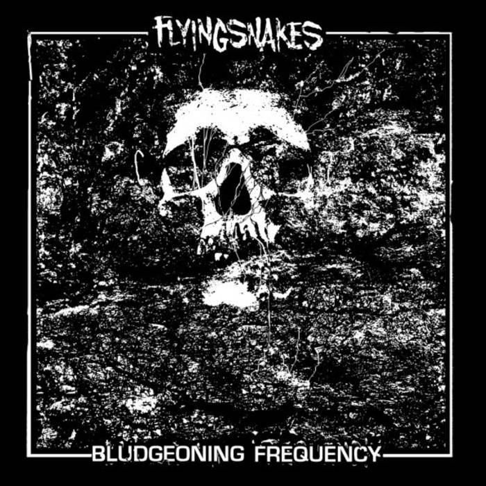 FLYINGSNAKES - Bludgeoning Frequency cover 