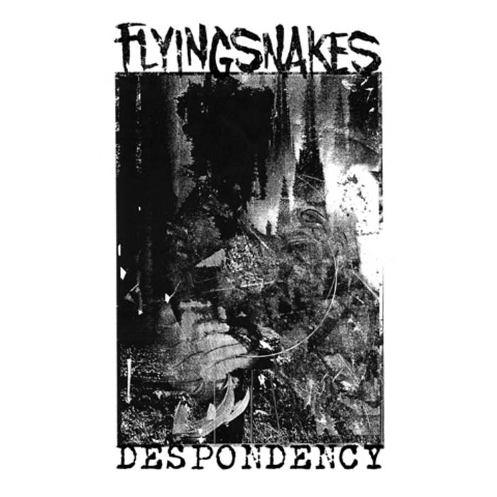 FLYINGSNAKES - Despondency cover 