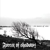 FOREST OF SHADOWS - Six Waves of Woe cover 