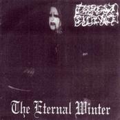 FOREST SILENCE - The Eternal Winter cover 