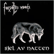 FORGOTTEN WOODS - Sjel av natten cover 