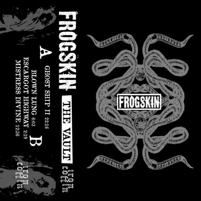 FROGSKIN - The Vault cover 