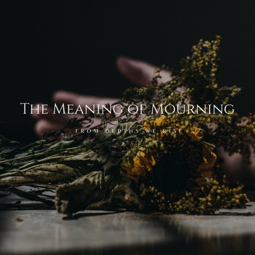 FROM DEPTHS WE RISE - The Meaning Of Mourning cover 